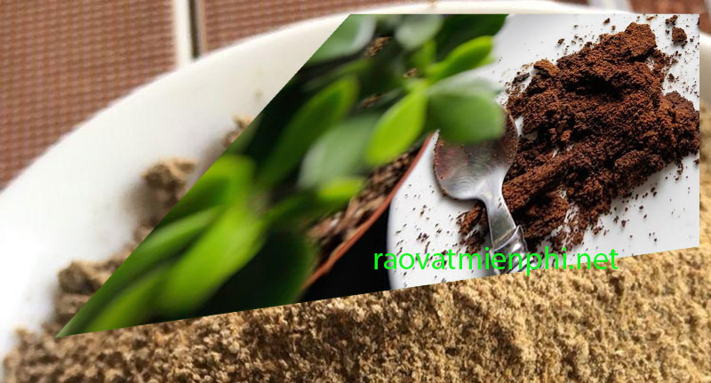 bột cá làm phân bón