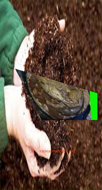 Bột cá Hải Minh