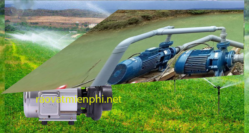 Máy bơm tưới vườn