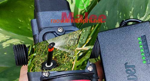 Máy bơm tưới vườn diện tích trung bình