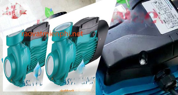 Cách chọn máy bơm tưới vườn theo hệ thống tưới