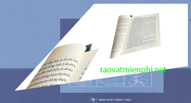 Sinh lý tế bào và cơ chế hoạt động của tế bào