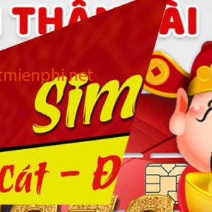 Sim thần tài 3979