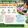 Tuyển nhân viên bán hàng ca tối tại shop hoa lan, cây cảnh Hà Nội