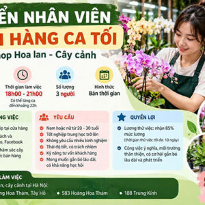 Tuyển nhân viên bán hàng ca tối tại shop hoa lan, cây cảnh Hà Nội
